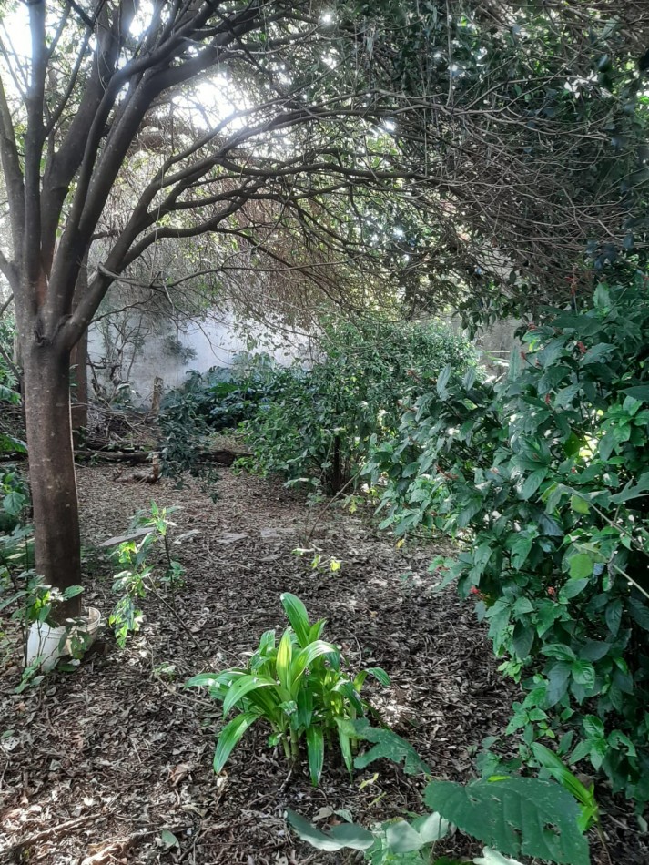 Terreno de 302 m2, ubicado en Chascomus 1141 Lanus Este