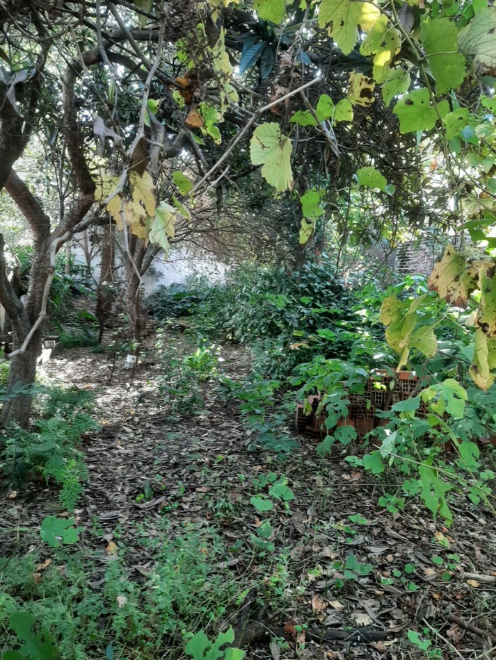 Terreno de 302 m2, ubicado en Chascomus 1141 Lanus Este