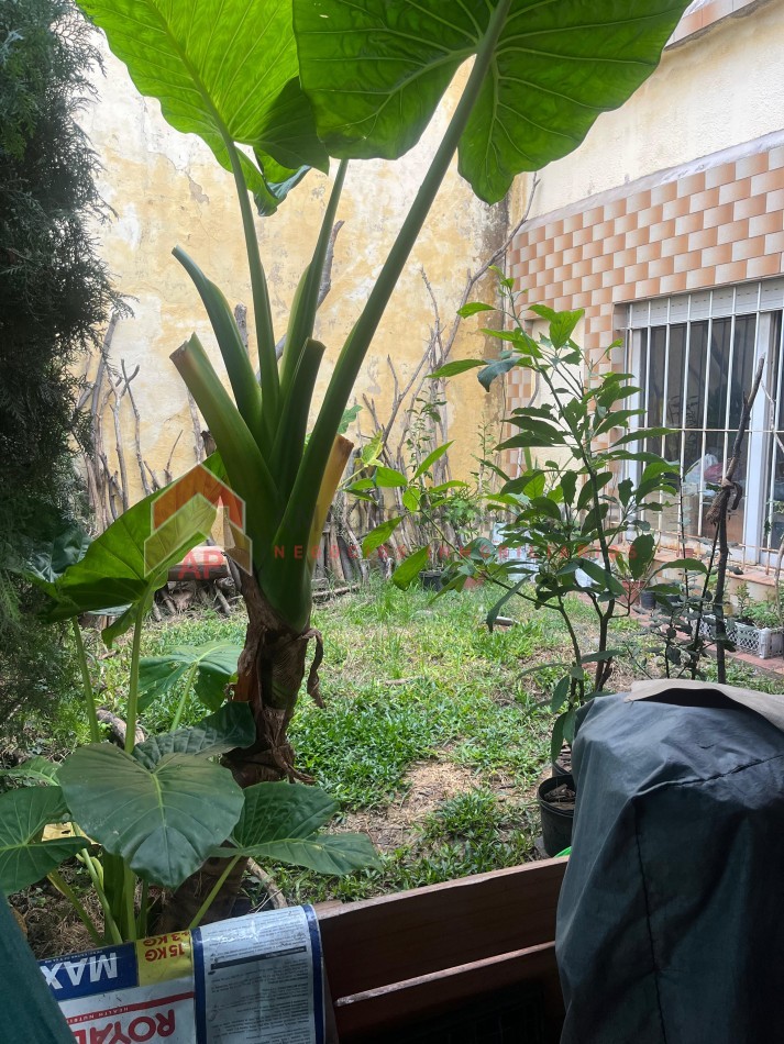 Casa 3 amb grandes APTO CRED c/cochera, jardin y patio ubicada en Warnes 1488, Lanus Oeste 